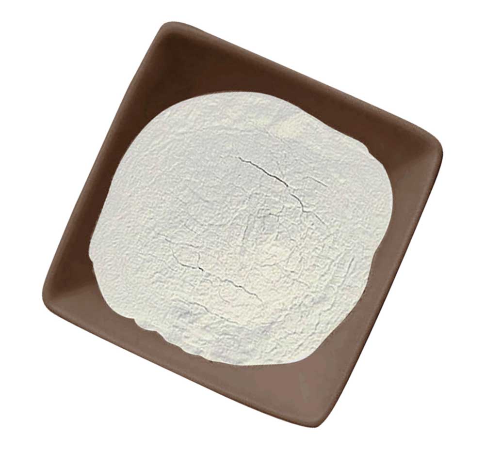 carrageenan_t5